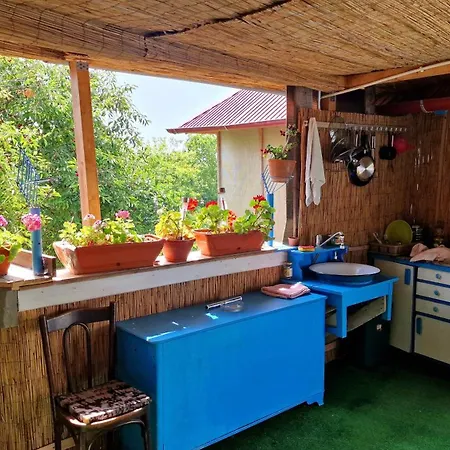 Casa Lidia Gospodarstwo wiejskie Jurilovca