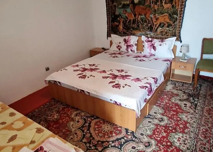 Lantställe Casa Lidia Jurilovca